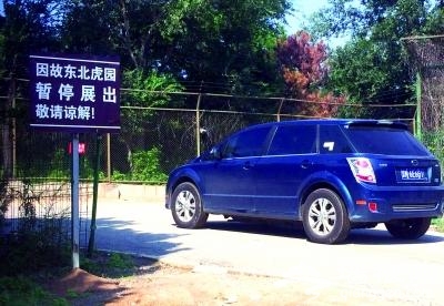 八达岭野生动物园 猛兽区重开自驾游