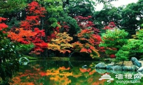 京郊秋季红叶旅游景点 只等时机一到就出发[墙根网]