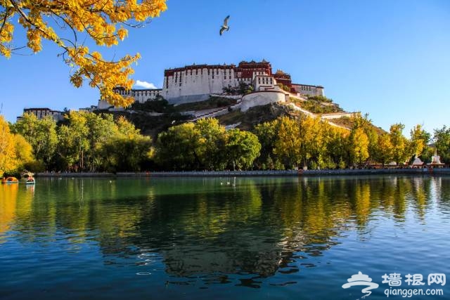 国庆节最适合去的8个旅行地推荐，挑一个走起吧！[墙根网]