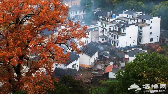 国庆节最适合去的8个旅行地推荐，挑一个走起吧！[墙根网]