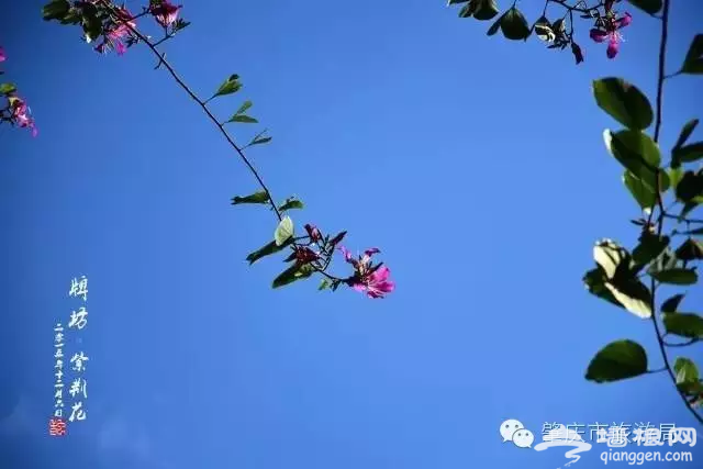 国庆节最适合去的8个旅行地推荐，挑一个走起吧！[墙根网]