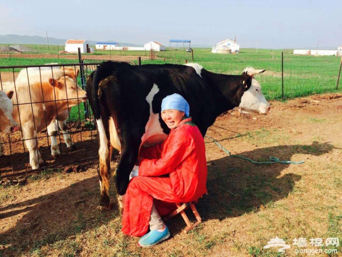 西乌珠穆沁-----如果可以，我希望在这里老去[墙根网]