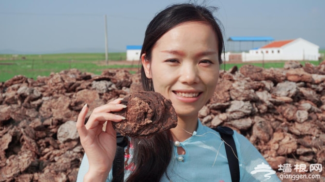西乌珠穆沁-----如果可以，我希望在这里老去[墙根网]