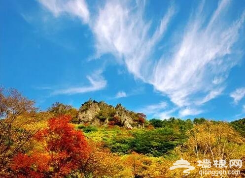 金秋十月 河北赏红叶[墙根网]