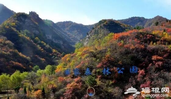 金秋十月 河北赏红叶[墙根网]