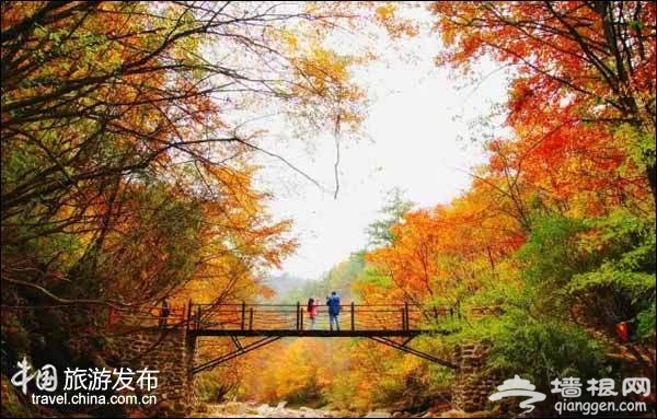 陕西有个醉美秋色的秘境：媲美香山红叶[墙根网]