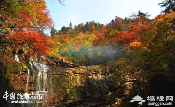 陕西有个醉美秋色的秘境：媲美香山红叶[墙根网]