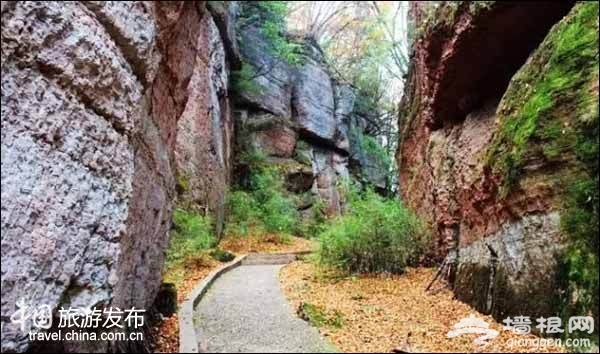 陕西有个醉美秋色的秘境：媲美香山红叶[墙根网]