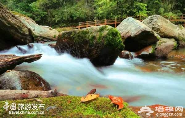 陕西有个醉美秋色的秘境：媲美香山红叶[墙根网]