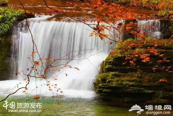 陕西有个醉美秋色的秘境：媲美香山红叶[墙根网]