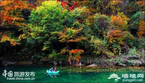 陕西有个醉美秋色的秘境：媲美香山红叶[墙根网]