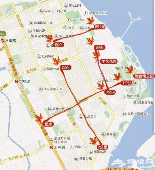 上海最全16区“赏秋地图”出炉 错过再等一年[墙根网]