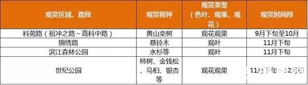 上海最全16区“赏秋地图”出炉 错过再等一年[墙根网]