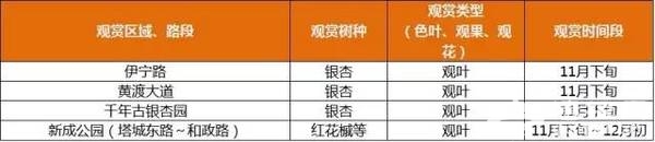上海最全16区“赏秋地图”出炉 错过再等一年[墙根网]