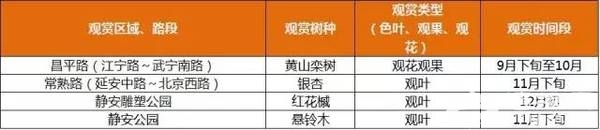 上海最全16区“赏秋地图”出炉 错过再等一年[墙根网]