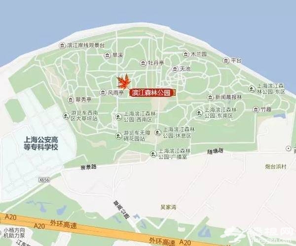 上海最全16区“赏秋地图”出炉 错过再等一年[墙根网]