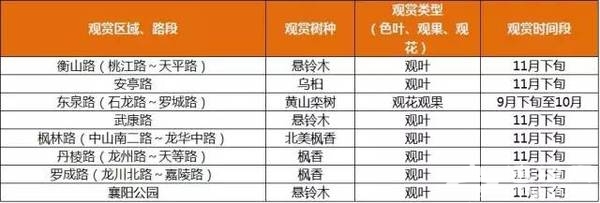 上海最全16区“赏秋地图”出炉 错过再等一年[墙根网]