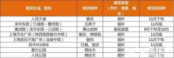 上海最全16区“赏秋地图”出炉 错过再等一年[墙根网]