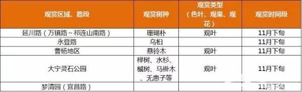 上海最全16区“赏秋地图”出炉 错过再等一年[墙根网]