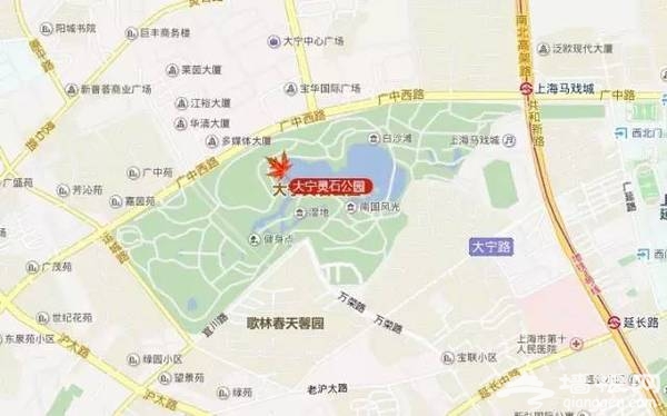 上海最全16区“赏秋地图”出炉 错过再等一年[墙根网]