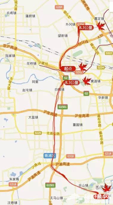 上海最全16区“赏秋地图”出炉 错过再等一年[墙根网]
