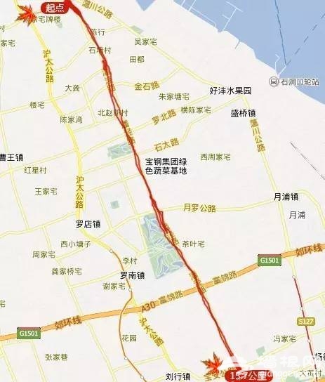 上海最全16区“赏秋地图”出炉 错过再等一年[墙根网]