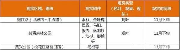 上海最全16区“赏秋地图”出炉 错过再等一年[墙根网]