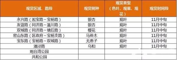 上海最全16区“赏秋地图”出炉 错过再等一年[墙根网]