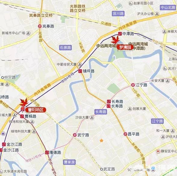 上海最全16区“赏秋地图”出炉 错过再等一年[墙根网]