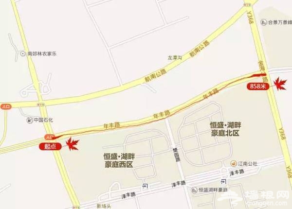 上海最全16区“赏秋地图”出炉 错过再等一年[墙根网]