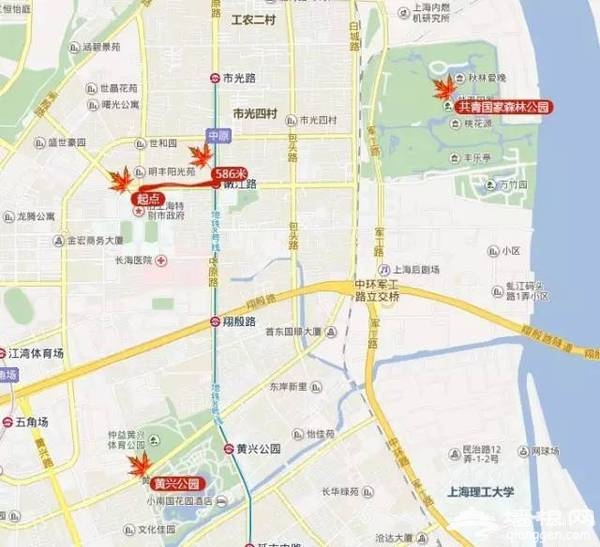上海最全16区“赏秋地图”出炉 错过再等一年[墙根网]