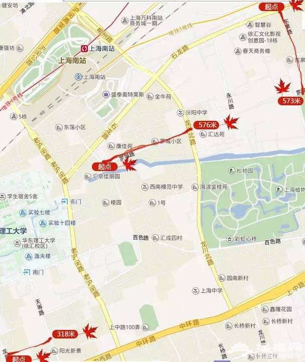 上海最全16区“赏秋地图”出炉 错过再等一年[墙根网]