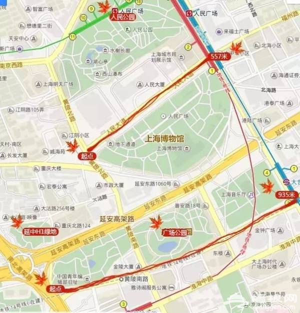 上海最全16区“赏秋地图”出炉 错过再等一年[墙根网]