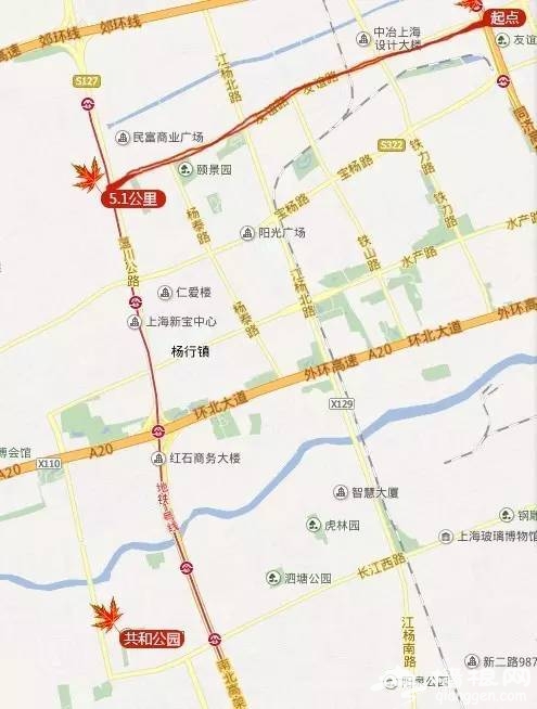 上海最全16区“赏秋地图”出炉 错过再等一年[墙根网]