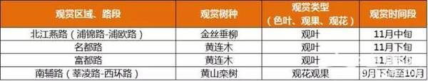 上海最全16区“赏秋地图”出炉 错过再等一年[墙根网]