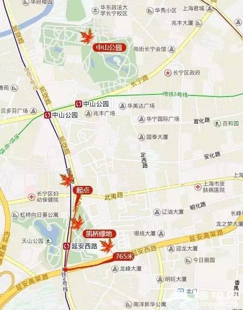 上海最全16区“赏秋地图”出炉 错过再等一年[墙根网]