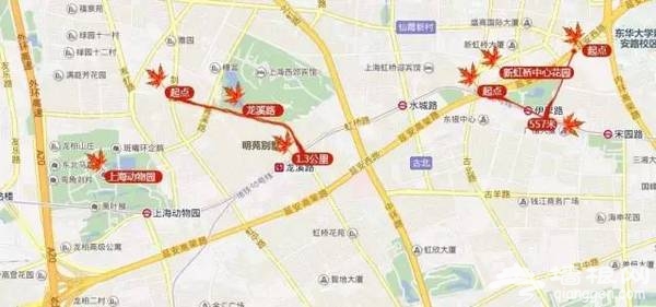 上海最全16区“赏秋地图”出炉 错过再等一年[墙根网]