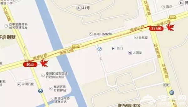 上海最全16区“赏秋地图”出炉 错过再等一年[墙根网]