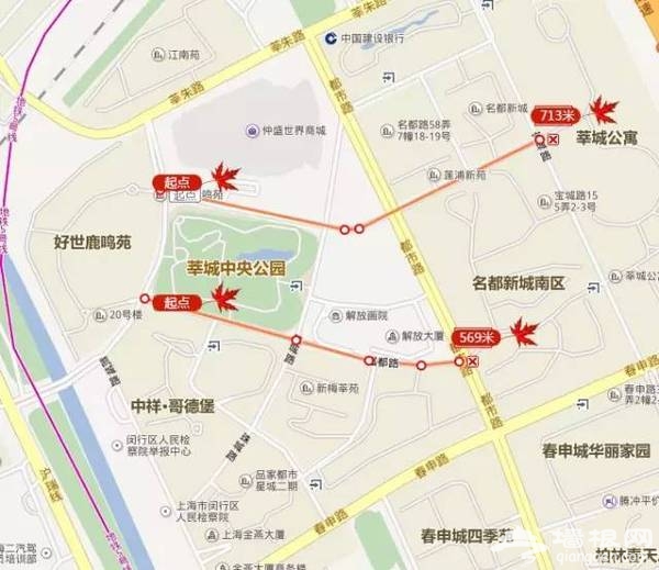 上海最全16区“赏秋地图”出炉 错过再等一年[墙根网]