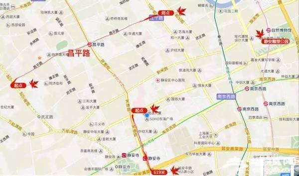 上海最全16区“赏秋地图”出炉 错过再等一年[墙根网]