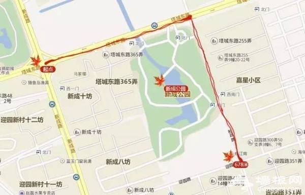 上海最全16区“赏秋地图”出炉 错过再等一年[墙根网]