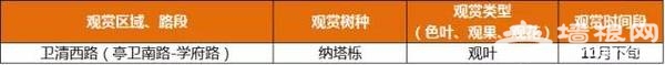 上海最全16区“赏秋地图”出炉 错过再等一年[墙根网]