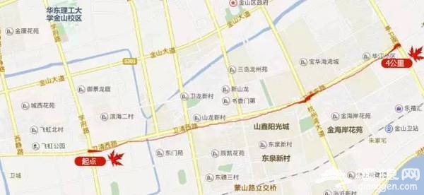 上海最全16区“赏秋地图”出炉 错过再等一年[墙根网]