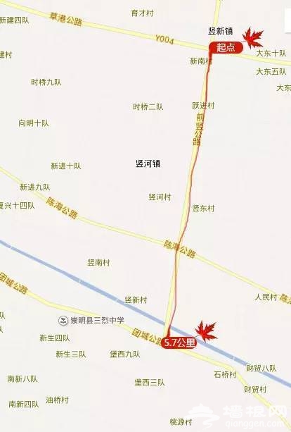 上海最全16区“赏秋地图”出炉 错过再等一年[墙根网]