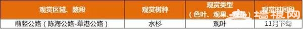 上海最全16区“赏秋地图”出炉 错过再等一年[墙根网]