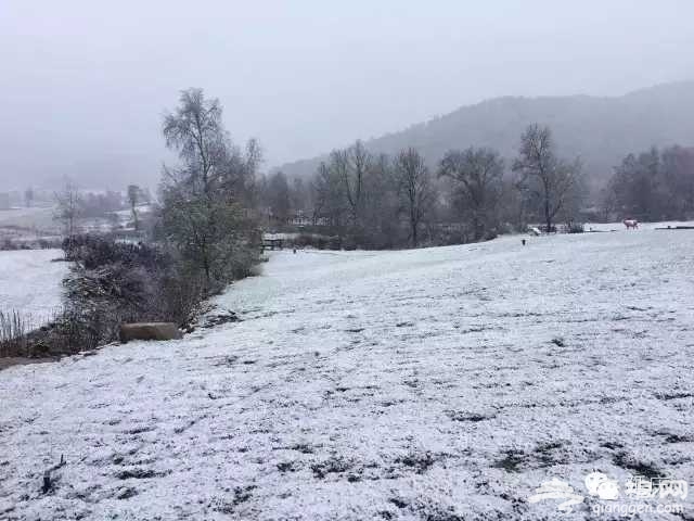 北京延庆迎今年首场降雪[墙根网]