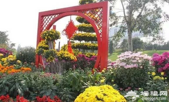北京的秋天有什么 除了红叶还有这些美景[墙根网]
