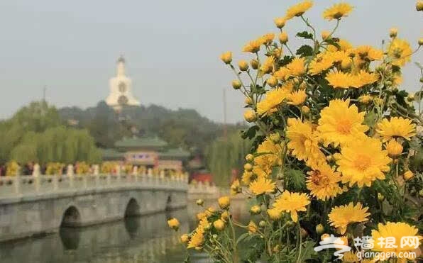 北京的秋天有什么 除了红叶还有这些美景[墙根网]