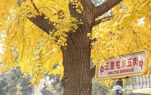 北京的秋天有什么 除了红叶还有这些美景[墙根网]