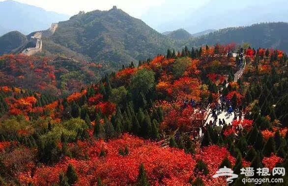 北京的秋天有什么 除了红叶还有这些美景[墙根网]